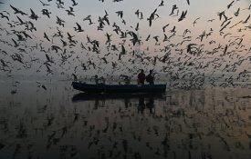Fotografia da Índia vence Concurso Andrei Stenin