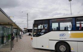 Utentes do Montijo reivindicam melhor serviço de transportes