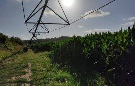 Governo executa menos de metade do prometido no Plano Nacional de Regadios