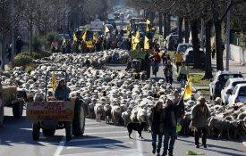 O grito dos agricultores europeus e a PAC