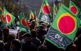 CNA exige diversificação de mercados e apoios aos agricultores para contornar tarifas
