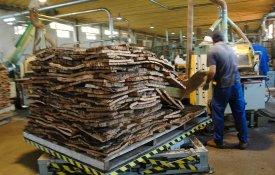 Corticeira Amorim fecha produção de Silves em Junho