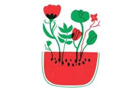 Escritores, poetas, cronistas e autores lusófonos gritam «paz na Palestina»