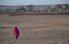 Agravamento da «situação alimentar» nos campos de refugiados saarauís