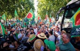 Viticultores do Douro reclamam medidas urgentes para a região