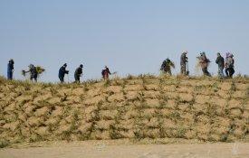Erguida uma muralha verde de 1865 km em torno de três desertos na China