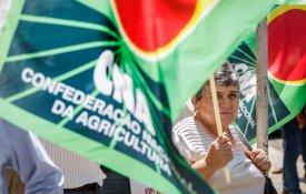 Agricultores reclamam apoio face ao aumento dos combustíveis e dos fertilizantes