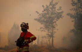 Incêndios florestais continuam a fustigar o País ano após ano