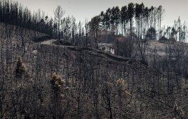O que dizia o relatório da Comissão Técnica Independente sobre os incêndios de 2017