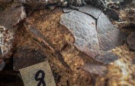 Descoberto em Torres Vedras ninho com ovos de dinossauro com 150 milhões de anos
