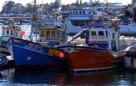 Sinapsa fecha acordo para aumentos salariais com Mútua dos Pescadores e Ponto Seguro