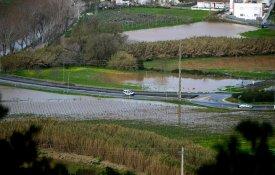 CNA questiona Governo sobre apoios a agricultores afectados pelas intempéries