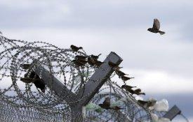 Material militar roubado em Tancos