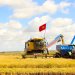 Agravamento da fome deve reforçar luta pela reforma agrária no Brasil