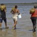 PEV: captura de bivalves no Tejo à conta de exploração sem limites