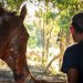 «Fidel, niño valiente», filme épico sobre um rapaz e o seu cavalo de corridas