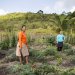 É preciso reconhecer a «importância da mulher rural e agricultora»