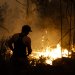 Incêndios previnem-se com políticas públicas de defesa da floresta