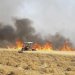 Curdos e Daesh provocam incêndios em campos de trigo, acusam agricultores sírios